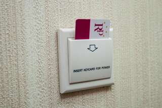 Отель Rustaveli Palace Тбилиси Стандартный двухместный номер с 1 кроватью или 2 отдельными кроватями-44