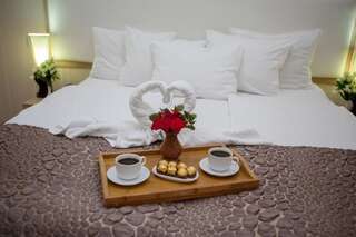 Отель Rustaveli Palace Тбилиси Стандартный двухместный номер с 1 кроватью или 2 отдельными кроватями-52